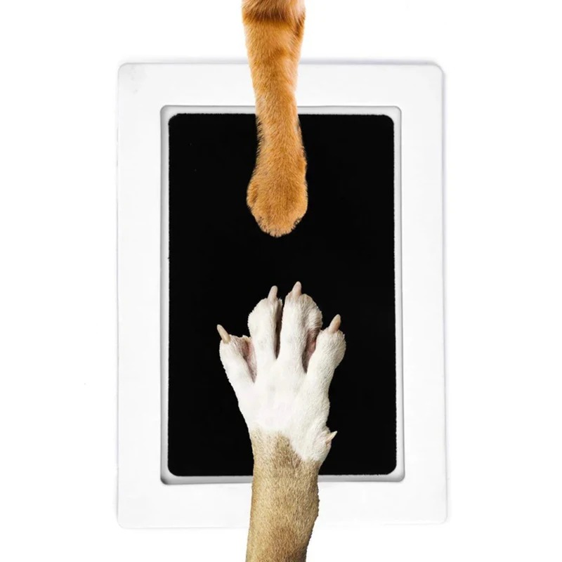 Footprint Ink Kit - 猫犬の足跡インクキットパッド 安全無毒 ベビー足跡 新生児シャワー 手形 簡単DIY