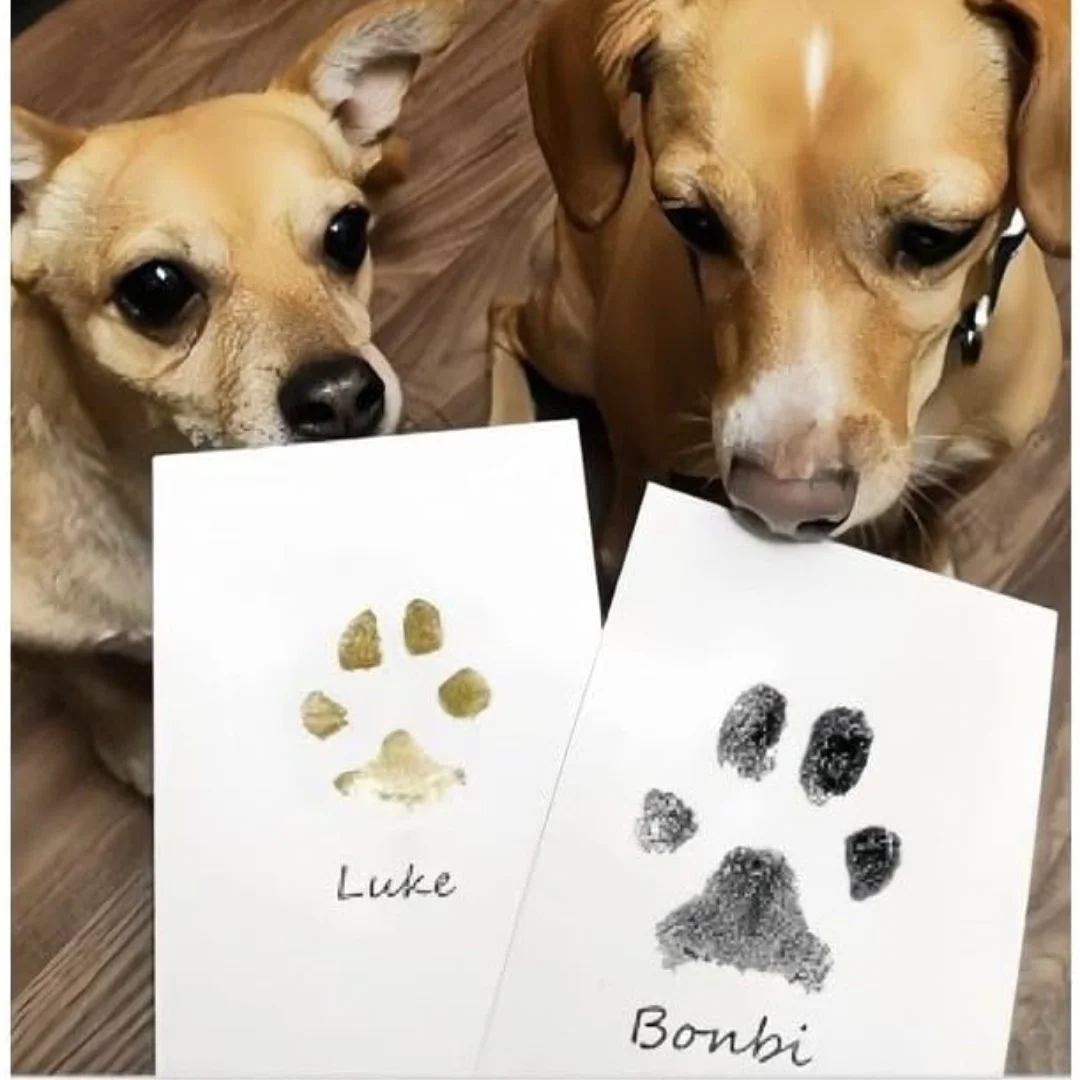 猫犬の足跡インクキットパッド 安全無毒 ベビー足跡 新生児シ - Footprint Ink Kit のレビューと価格