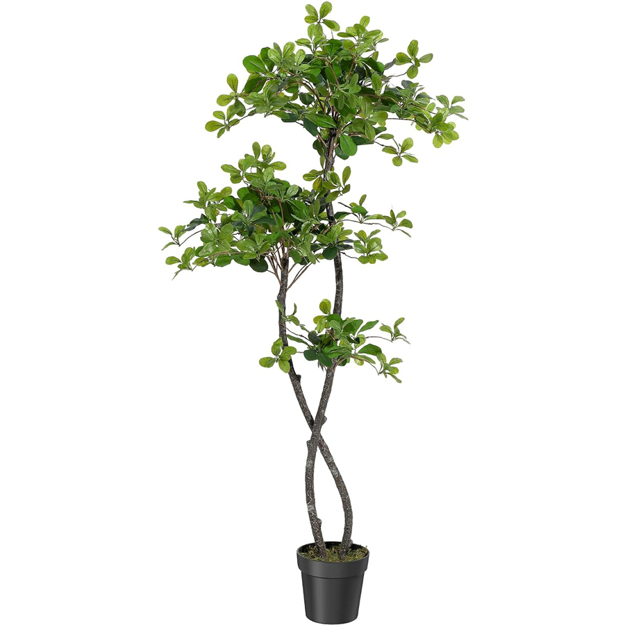 人工観葉植物（室内用）、高さ5～6フィートのフェイクブラック - Baby Nursery Plants のレビューと価格