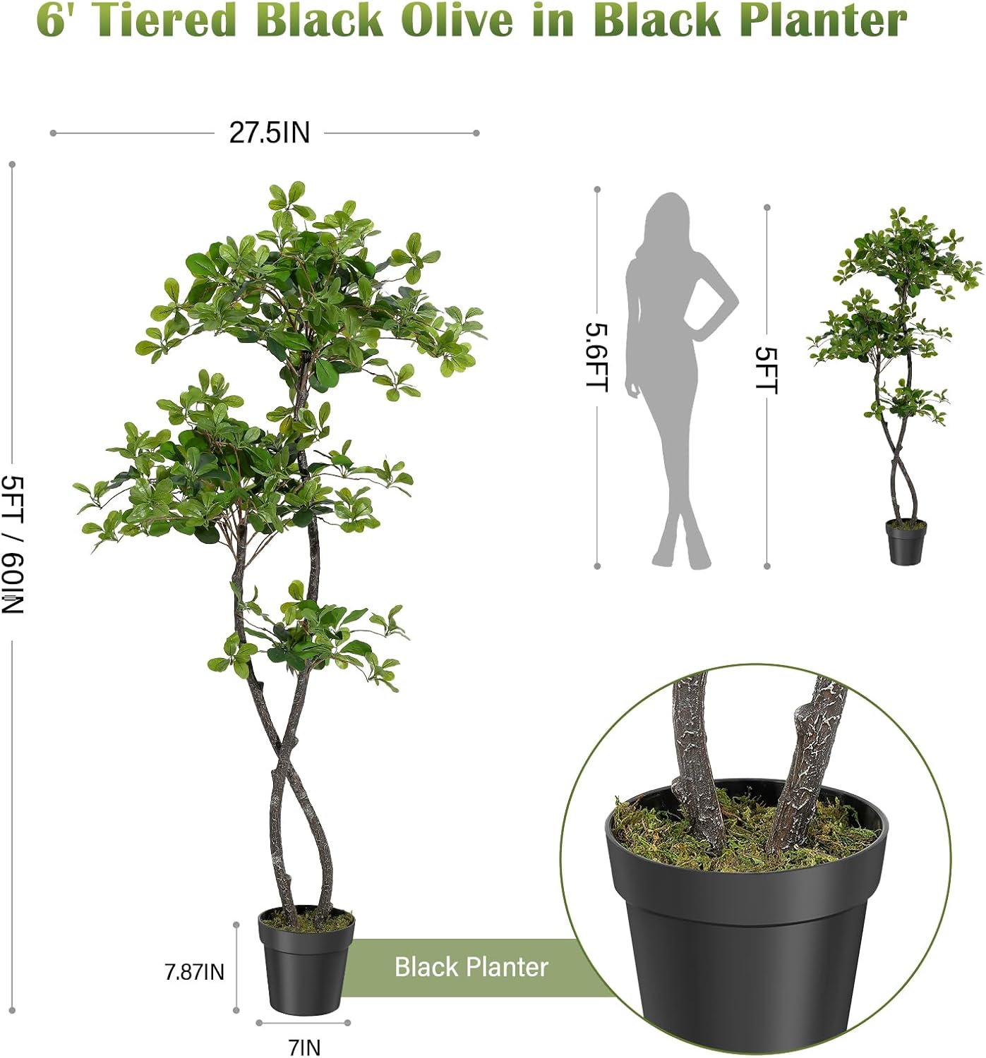 人工観葉植物（室内用）、高さ5～6フィートのフェイクブラック - Baby Nursery Plants のレビューと価格