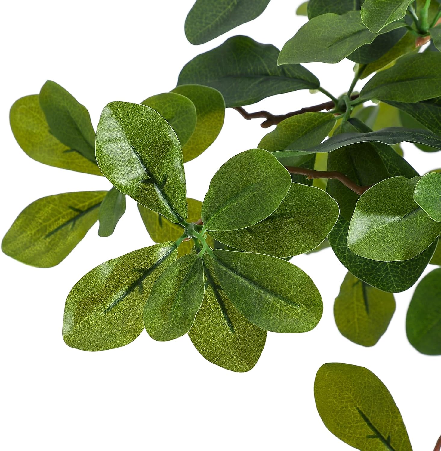 人工観葉植物（室内用）、高さ5～6フィートのフェイクブラック - Baby Nursery Plants のレビューと価格